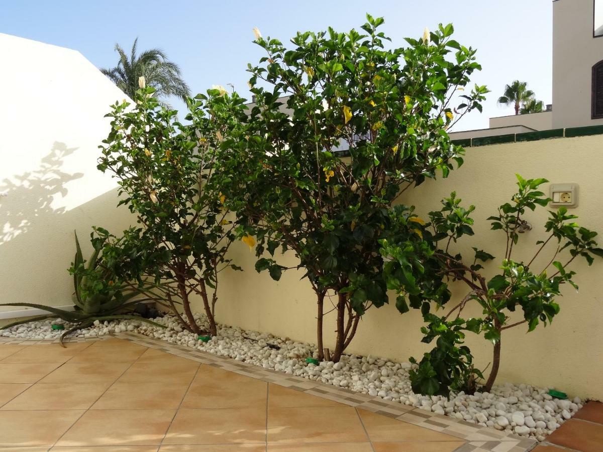 Residencial Los Geranios 13 Costa del Silencio Exterior foto